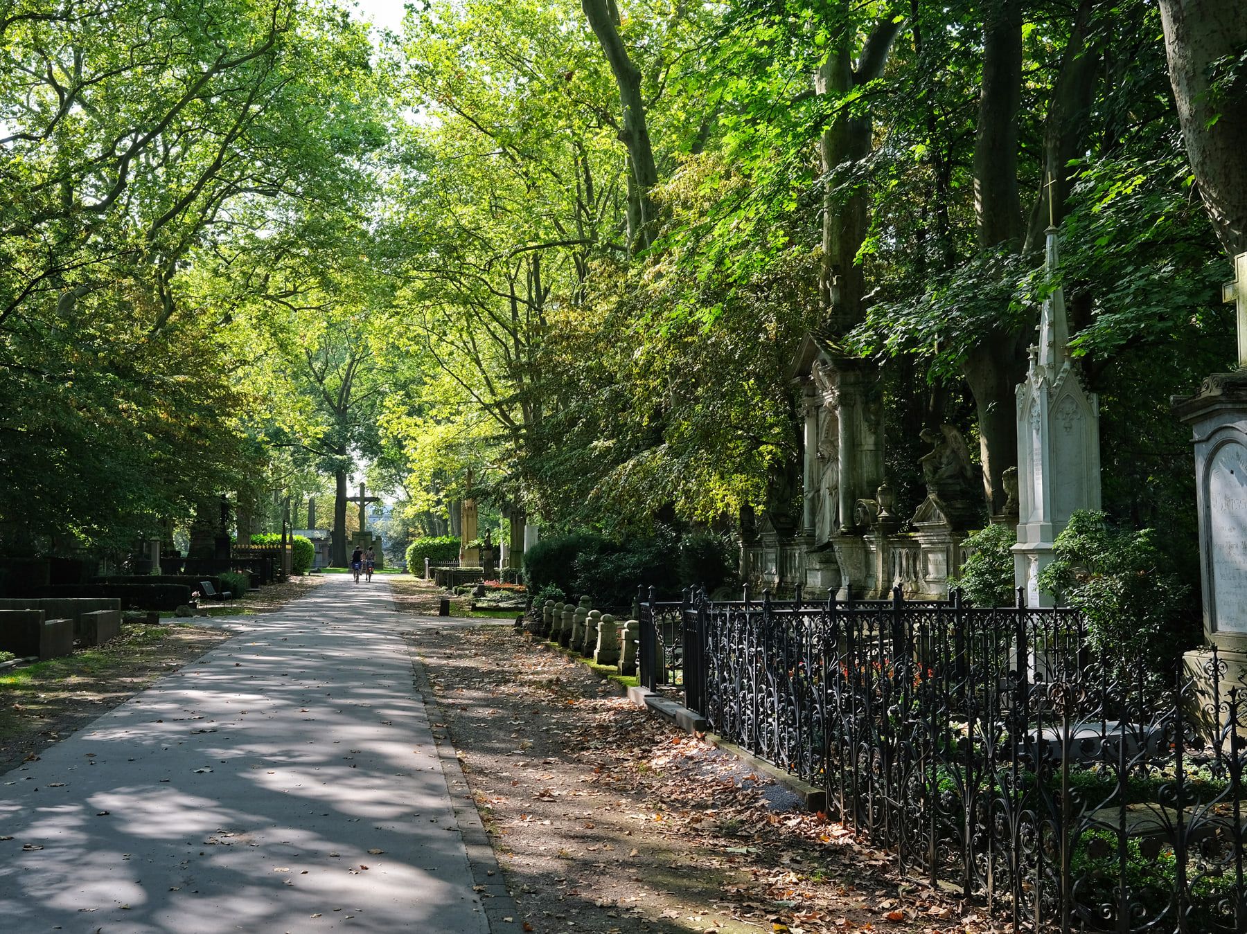 Schattige Friedhofsallee unter altem Baumbestand, gesäumt von monumentalen Grabmälern und schmiedeeisernen Einfriedungen auf Melaten-Friedhof