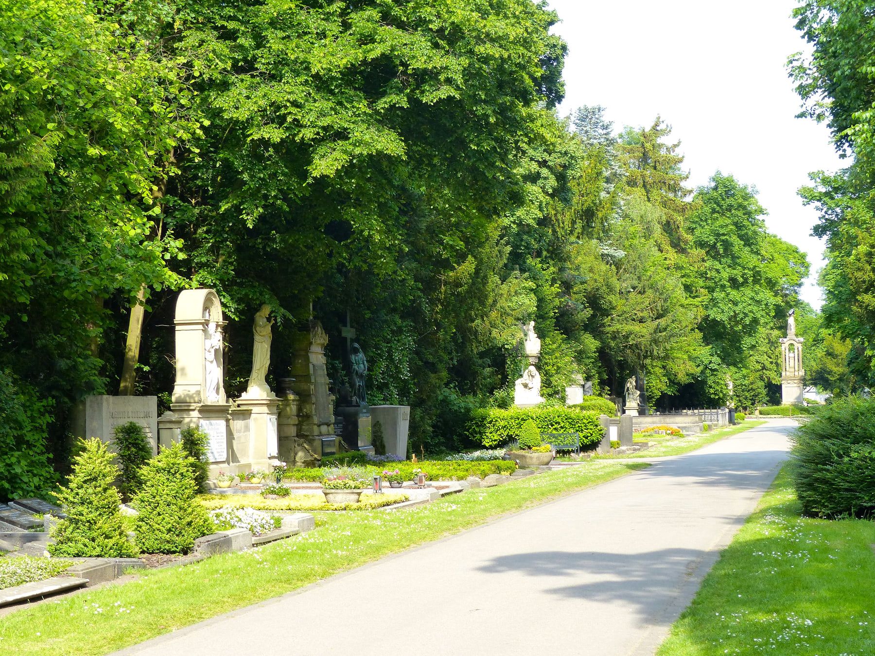 Sonniger Abschnitt der Millionenallee mit Skulpturen, hohen Grabstelen, gepflegten Pflanzungen und dichtem Laubdach auf Melaten-Friedhof